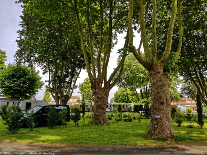 2018-06-05 17.00.47-DXO copy